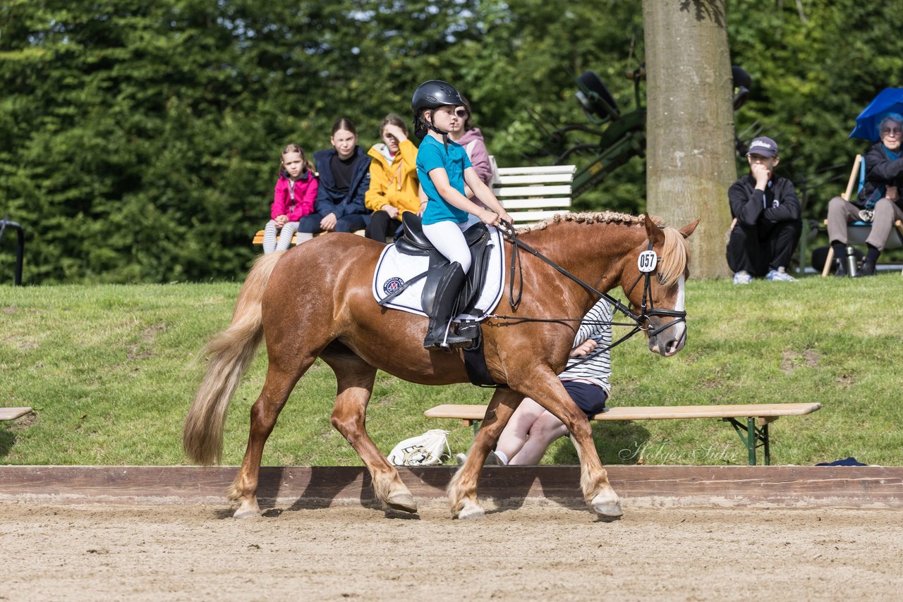 Bild 71 - Pony Akademie Turnier